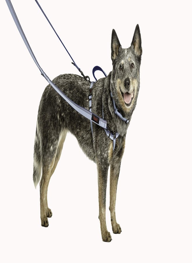 HALTI Double-Ended Leash for Dogs - Neoprene-Padded, Easy to Use, Reflective, Adjustable Lengths, Ideal Dog Leash for Hands Free Running & Training. Suitable for Small Dogs and Puppies (Size S, Red) - Image 2